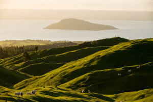 Your lifestyle block and Lake Rotorua