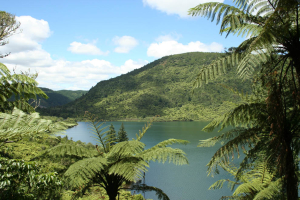 Our Lakes