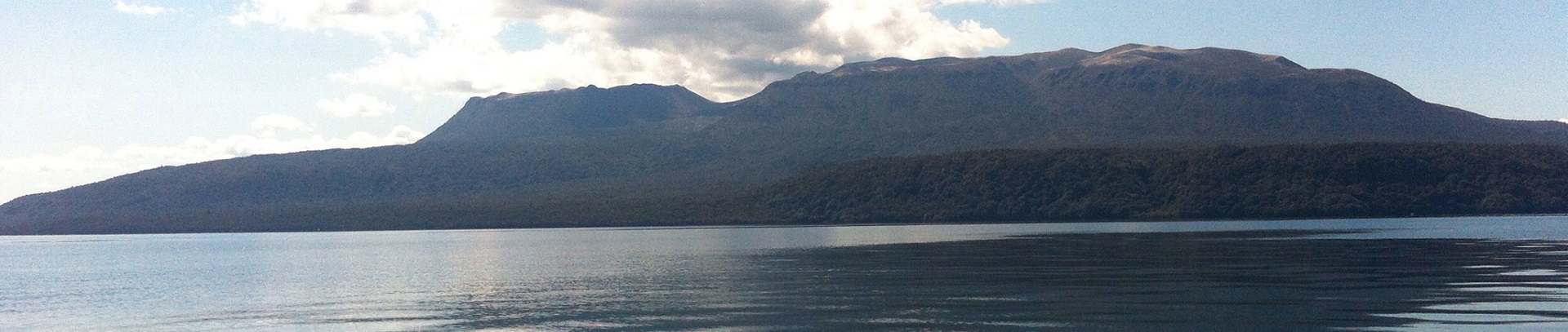 Warm weather prompts Rotorua lake blooms