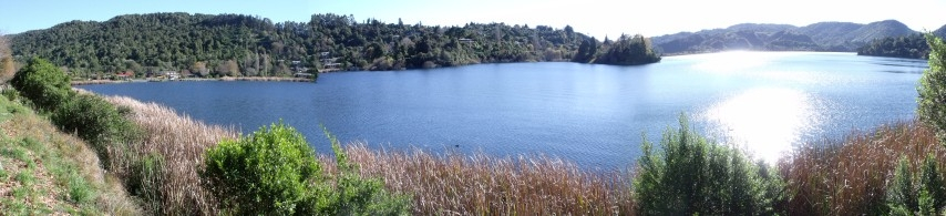 Next step towards improving water quality in Lake Rotorua