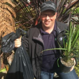 Swap a plant