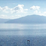 Responses to submissions for rules to protect lake released