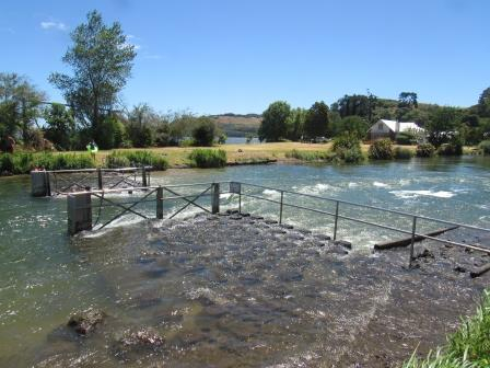Rain needed for Rotorua lakes