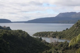 Possible algal blooms in parts of Tarawera
