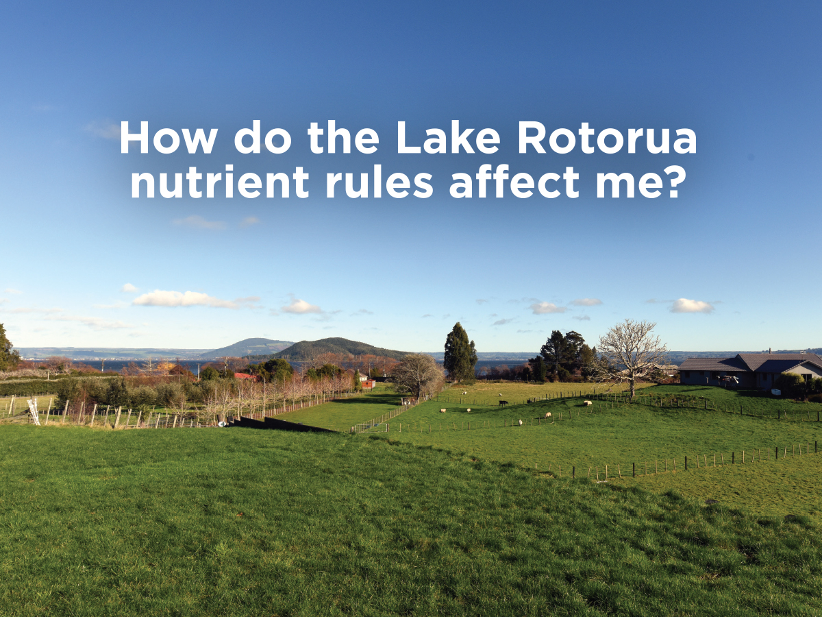 Rotorua Rules clarified for 1555 landowners