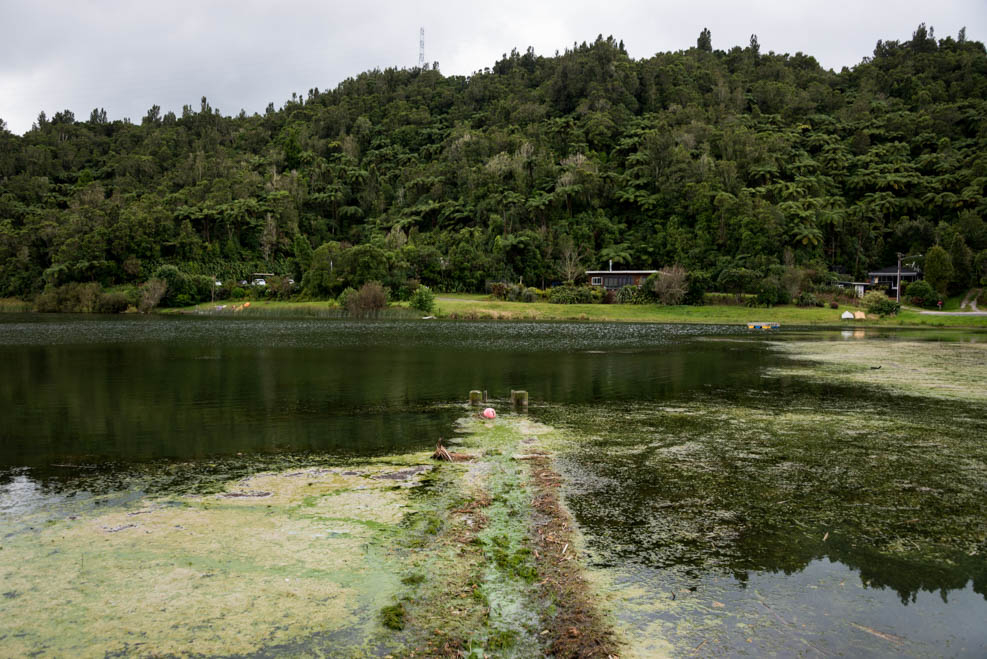 Lake Rotoehu health warning lifted