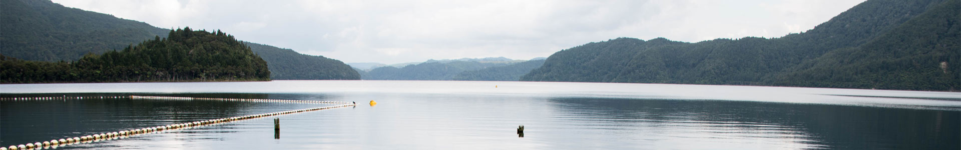 Lake Okataina