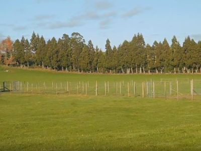 Reducing Phosphorus Runoff