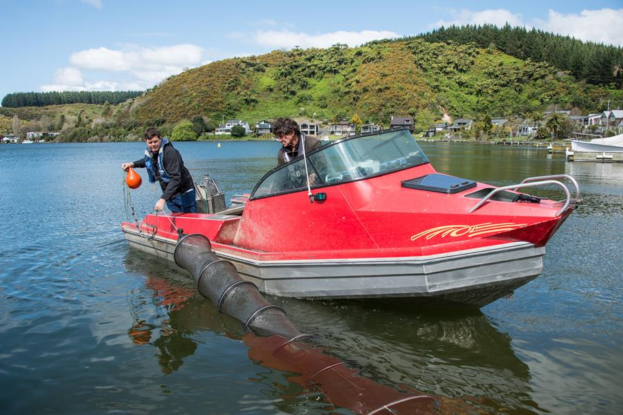 If you like trout, think about catfish