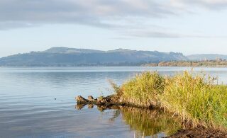 Council fund helps Rotorua farmers spread the word