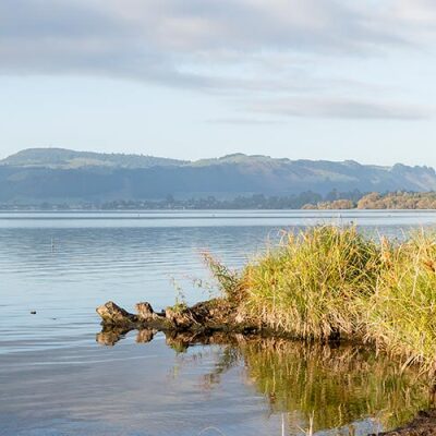 Council fund helps Rotorua farmers spread the word