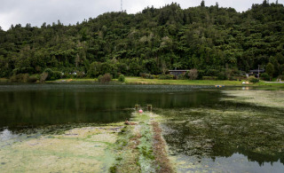 Lake Rotoehu health warning lifted
