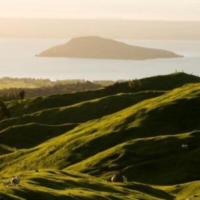 Progress on proposed lakeside sewerage schemes in Rotorua district