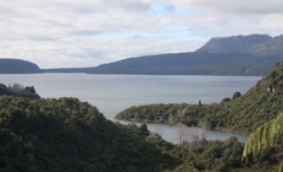 Possible algal blooms in parts of Tarawera