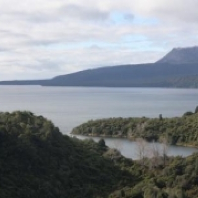 Possible algal blooms in parts of Tarawera