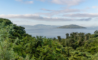 New Bay of Plenty Regional Council Chair in lake and freshwater science