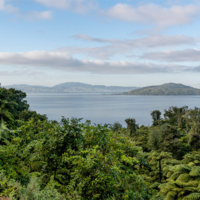 New Bay of Plenty Regional Council Chair in lake and freshwater science