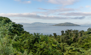 Rules to protect Lake Rotorua formally notified