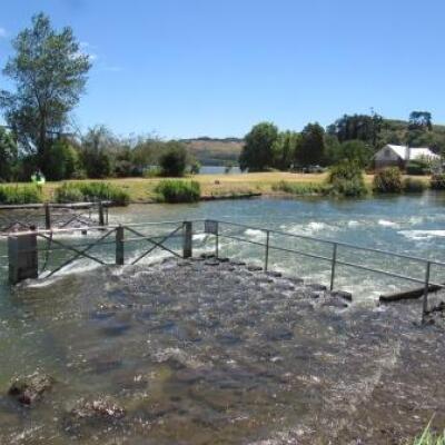 Rain needed for Rotorua lakes