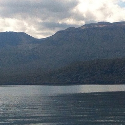 Warm weather prompts Rotorua lake blooms