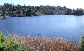 Next step towards improving water quality in Lake Rotorua
