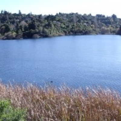 Next step towards improving water quality in Lake Rotorua