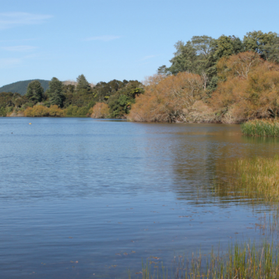 Health warning issued for Lake Okaro