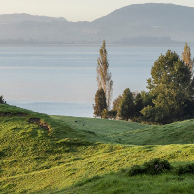 Lake Rotorua science review completed