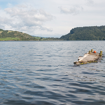 Health warning issued for Lake Rotoehu