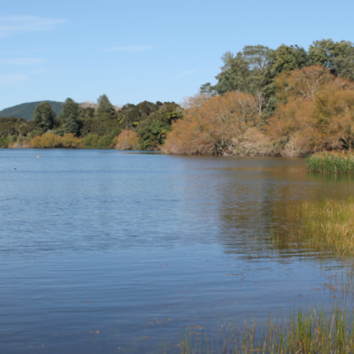 Health warning for Lake Okaro lifted