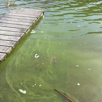 Health warning for Lake Ōkaro