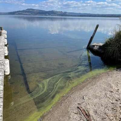 Health warning for Lake Rotorua