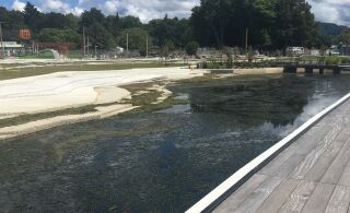 Final lake weed removal scheduled for Thursday and Friday