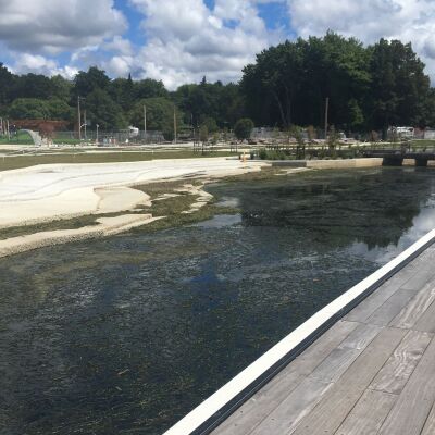 Final lake weed removal scheduled for Thursday and Friday