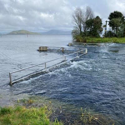 Lake Rotorua is experiencing its highest sustained levels since 2017