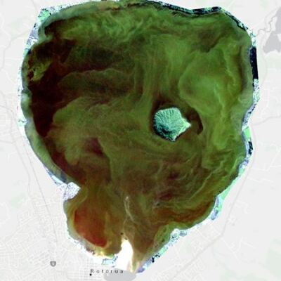 Sampling confirms algal bloom in Lake Rotorua