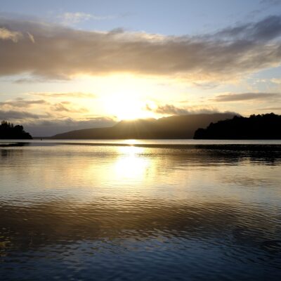 Te Waikai Otaota: Te Arawa Lakes Aquatic Weed Treatment Set To Launch