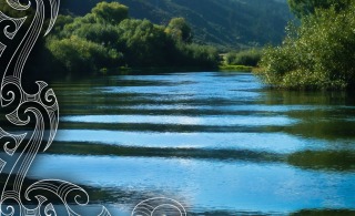 Changes to Freshwater Management