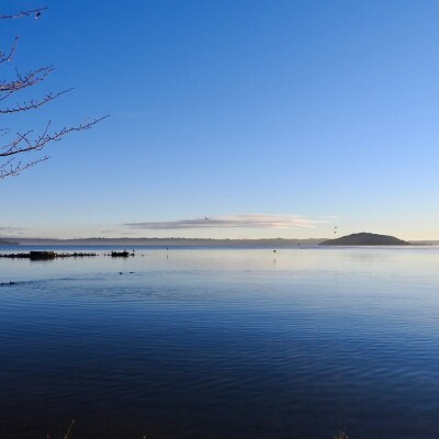 Health warnings for algal blooms lifted for all lakes in the Rotorua Lakes district